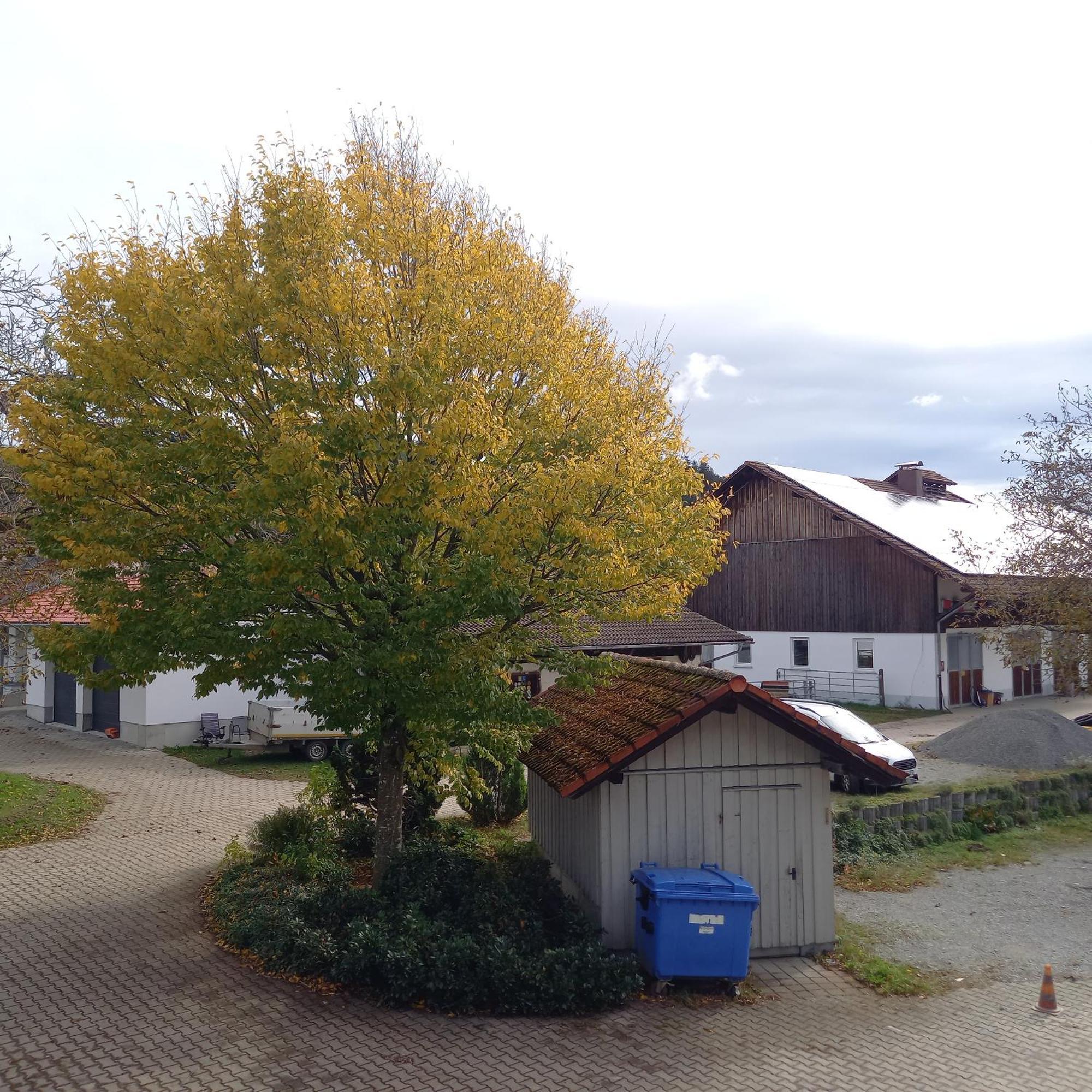 Ferienhof Metzler Bodnegg Exterior photo